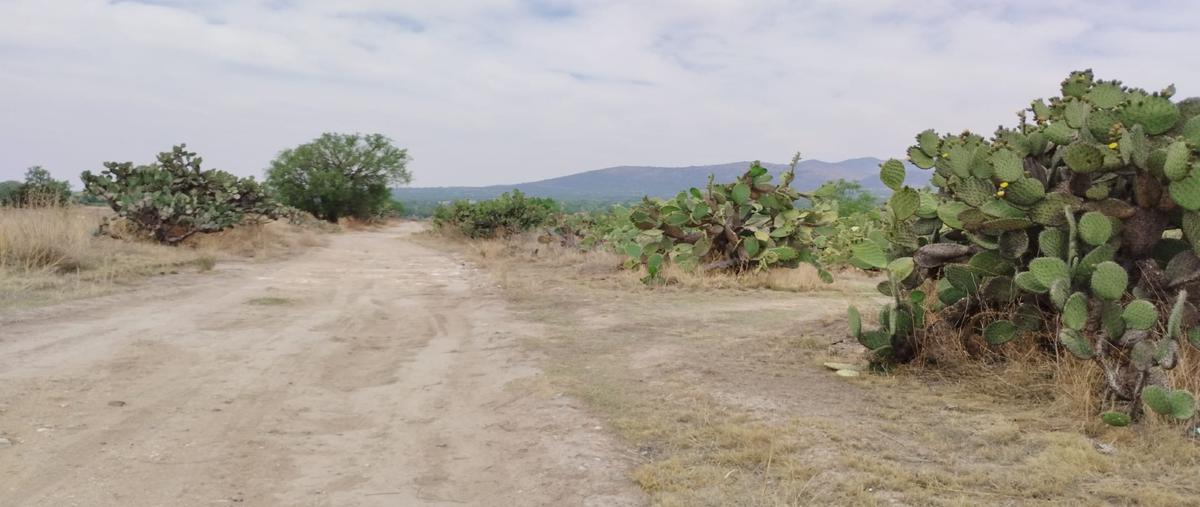Foto de terreno habitacional en venta en san agustin zapotlan whi298868, san agustín zapotlán, zempoala, hidalgo, 0 No. 03