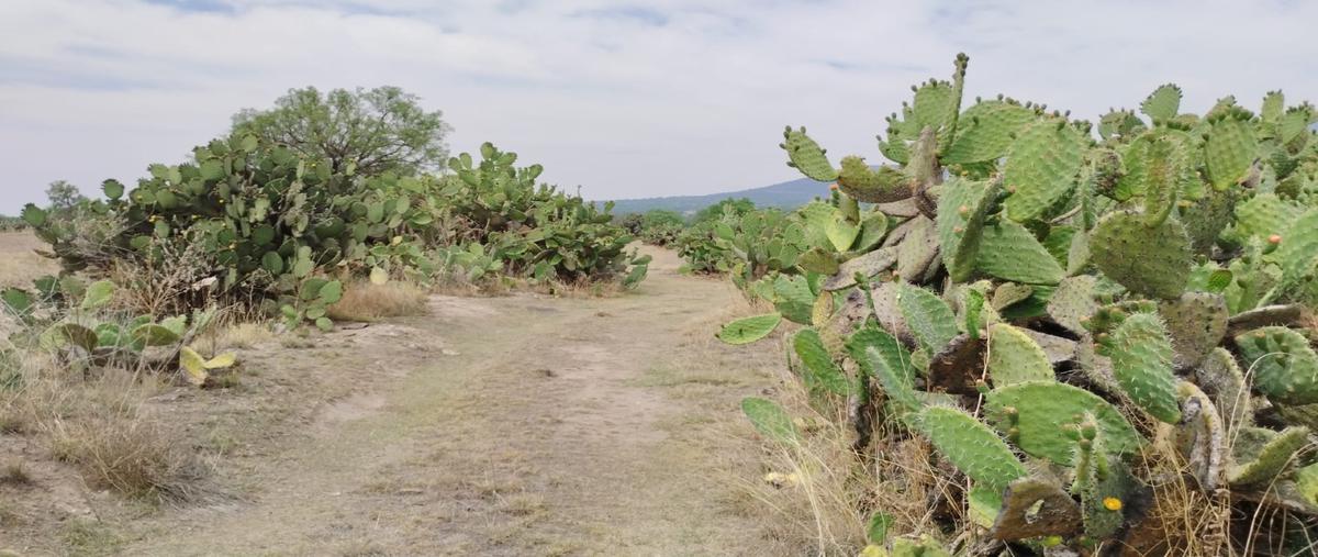 Foto de terreno habitacional en venta en san agustin zapotlan whi298868, san agustín zapotlán, zempoala, hidalgo, 0 No. 05
