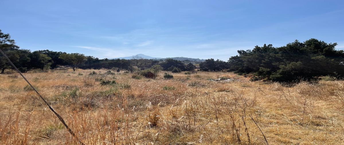 Foto de terreno habitacional en venta en  , san andrés ahuashuatepec, tzompantepec, tlaxcala, 0 No. 05