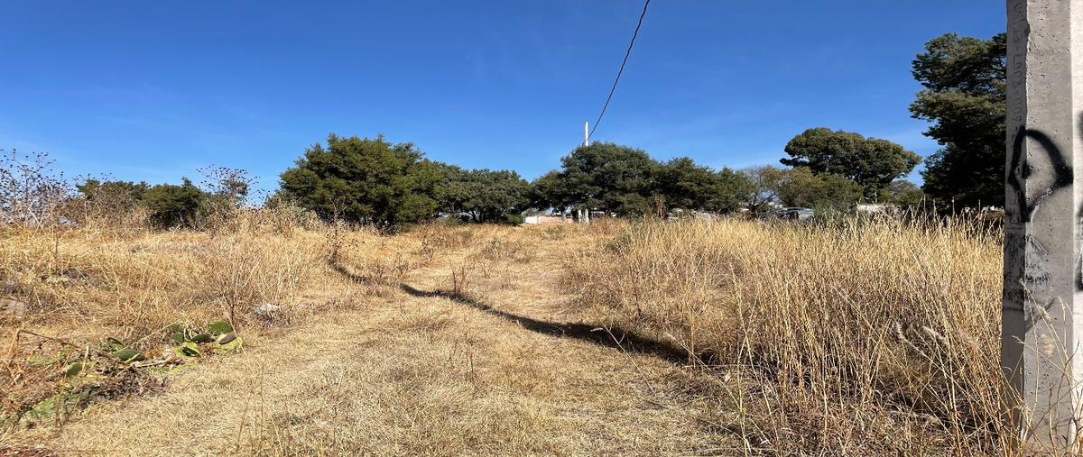 Foto de terreno habitacional en venta en  , san andrés ahuashuatepec, tzompantepec, tlaxcala, 0 No. 03