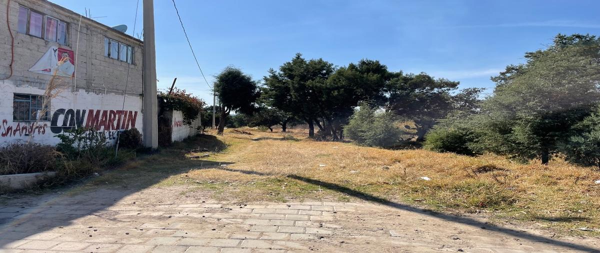 Foto de terreno habitacional en venta en  , san andrés ahuashuatepec, tzompantepec, tlaxcala, 0 No. 05