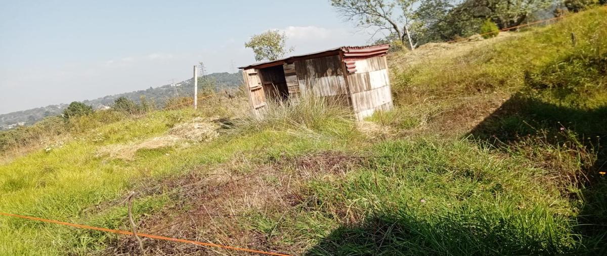Foto de terreno habitacional en venta en  , san andrés ahuayucan, xochimilco, df / cdmx, 0 No. 03