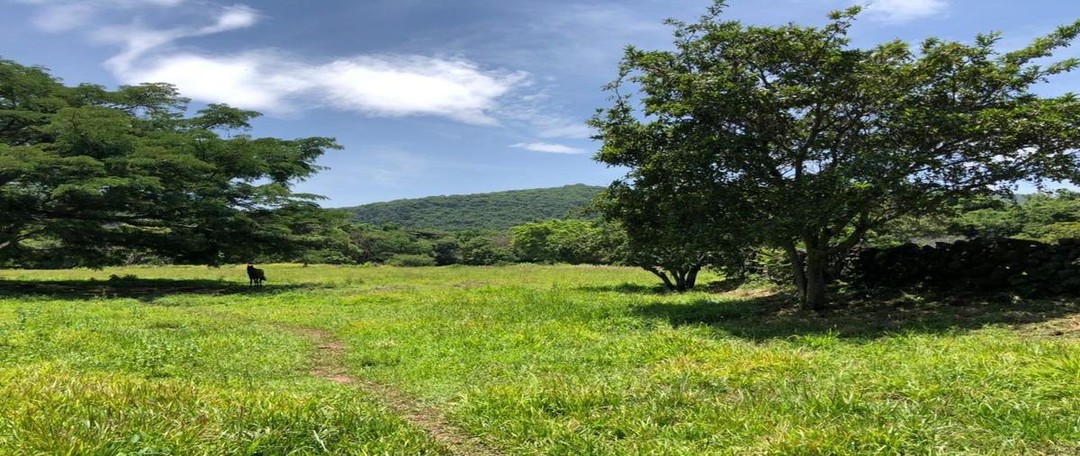 Foto de terreno habitacional en venta en  , san andrés de la cal, tepoztlán, morelos, 25956878 No. 01