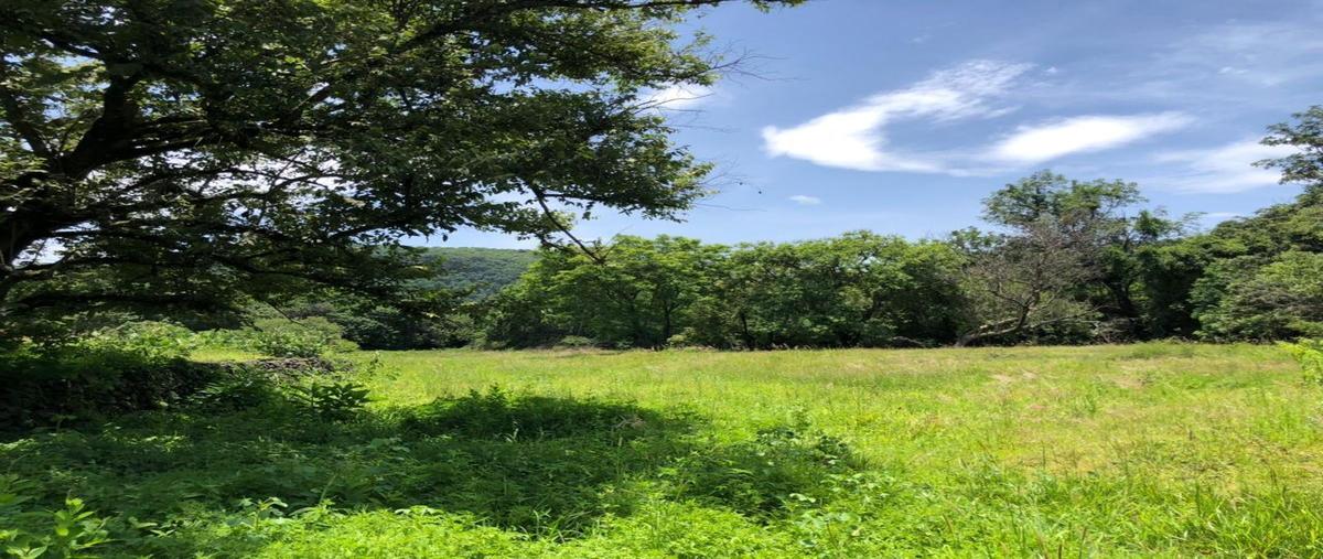 Foto de terreno habitacional en venta en  , san andrés de la cal, tepoztlán, morelos, 25956878 No. 04