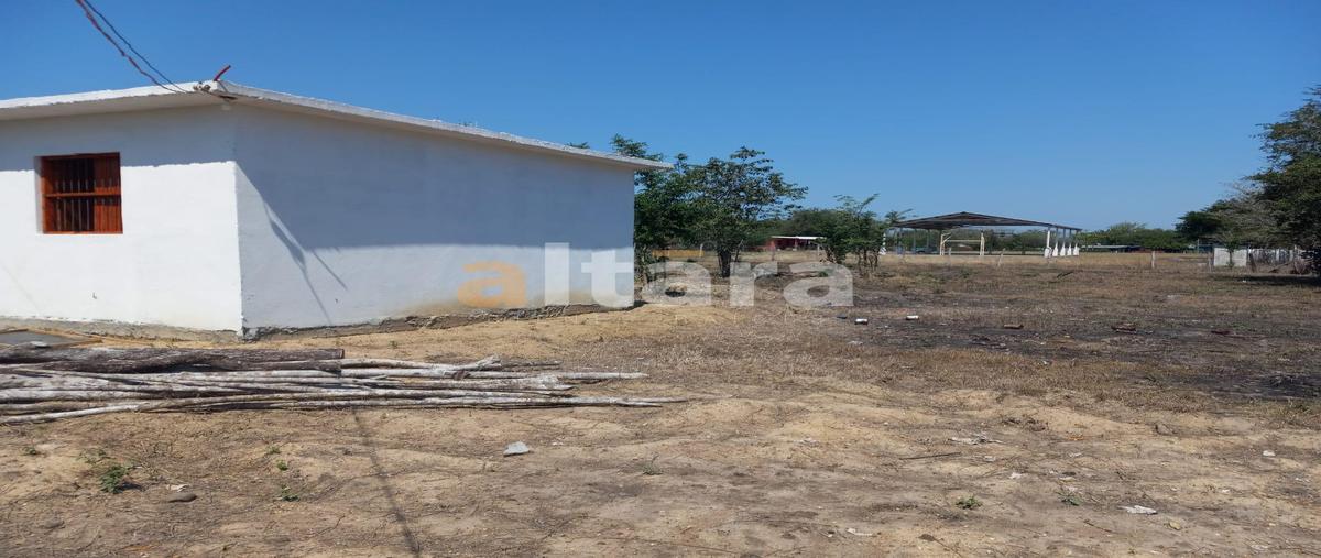 Foto de terreno habitacional en venta en  , san andres, el higo, veracruz de ignacio de la llave, 0 No. 03