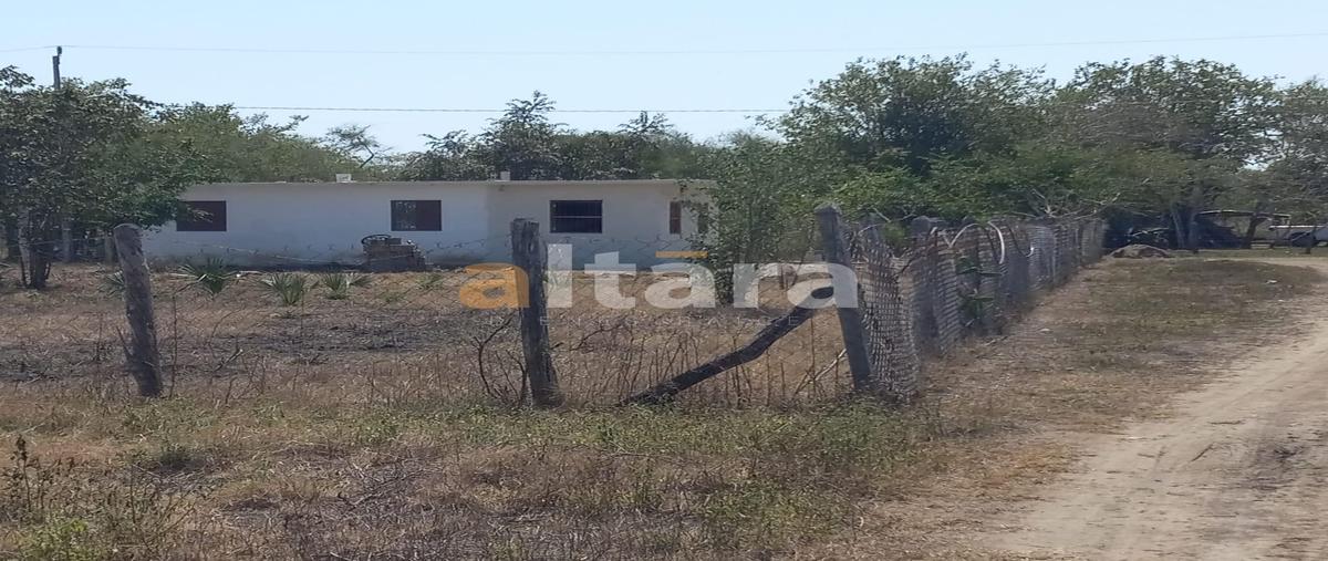 Foto de terreno habitacional en venta en  , san andres, el higo, veracruz de ignacio de la llave, 0 No. 05