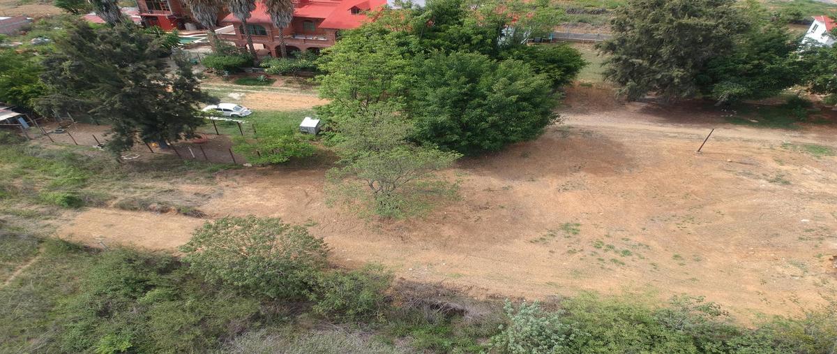 Foto de terreno habitacional en venta en  , san andres huayapam, san andrés huayápam, oaxaca, 0 No. 04