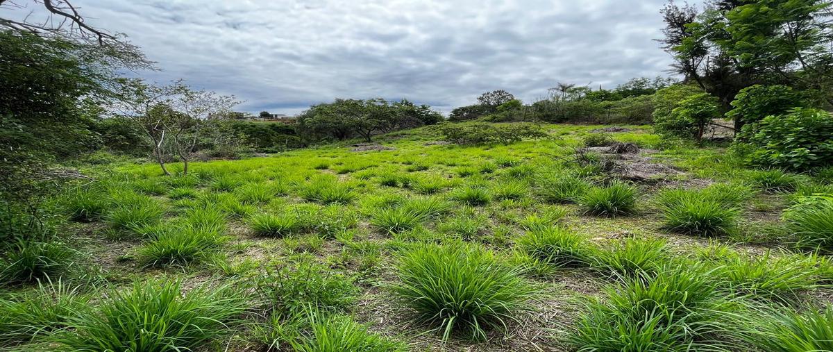 Foto de terreno habitacional en venta en  , san andres huayapam, san andrés huayápam, oaxaca, 0 No. 05