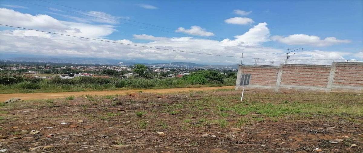 Foto de terreno habitacional en venta en  , san andres huayapam, san andrés huayápam, oaxaca, 0 No. 03