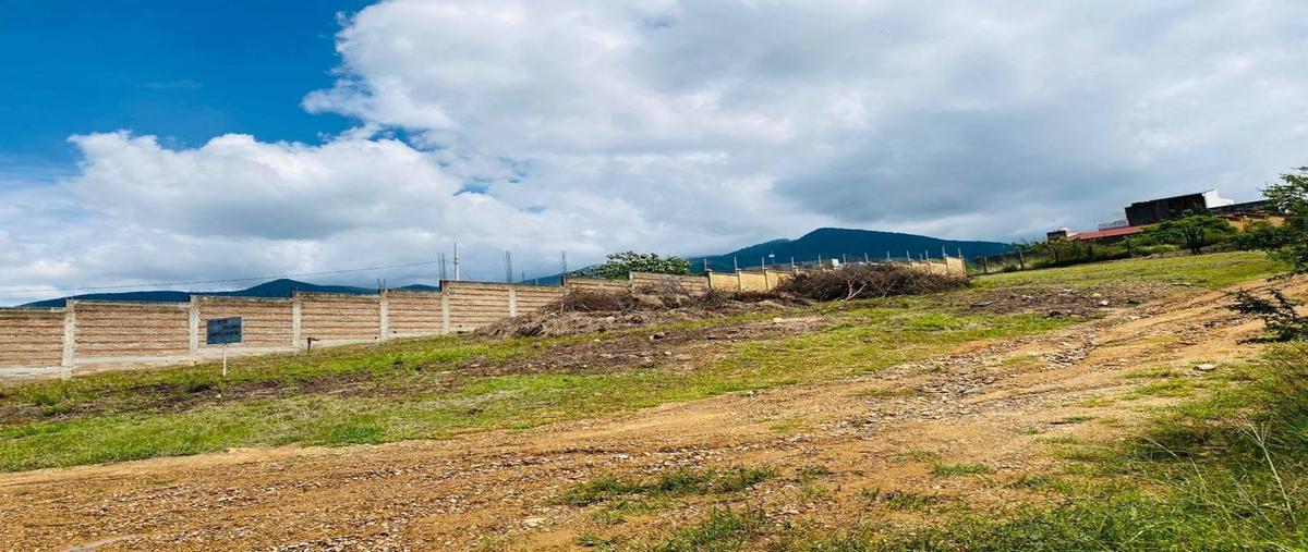 Foto de terreno habitacional en venta en  , san andres huayapam, san andrés huayápam, oaxaca, 0 No. 04