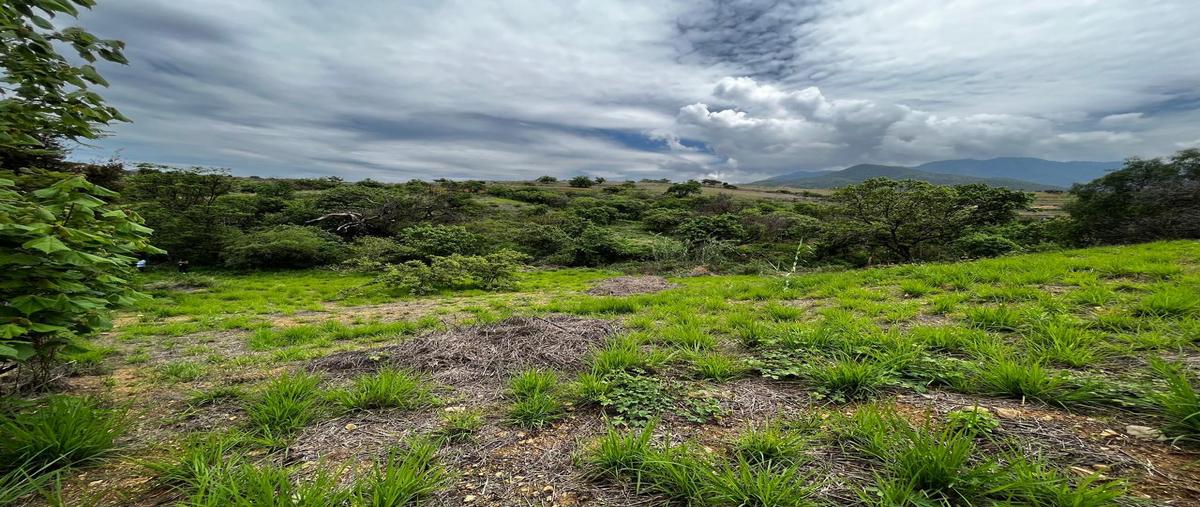 Foto de terreno habitacional en venta en  , san andres huayapam, san andrés huayápam, oaxaca, 0 No. 03