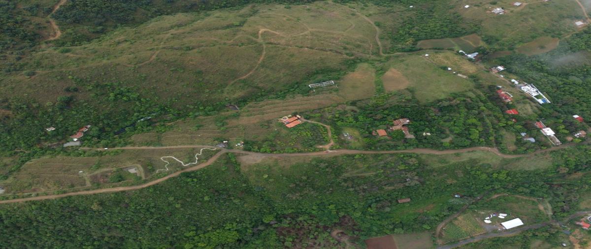 Foto de terreno habitacional en venta en  , san andres huayapam, san andrés huayápam, oaxaca, 30244642 No. 03