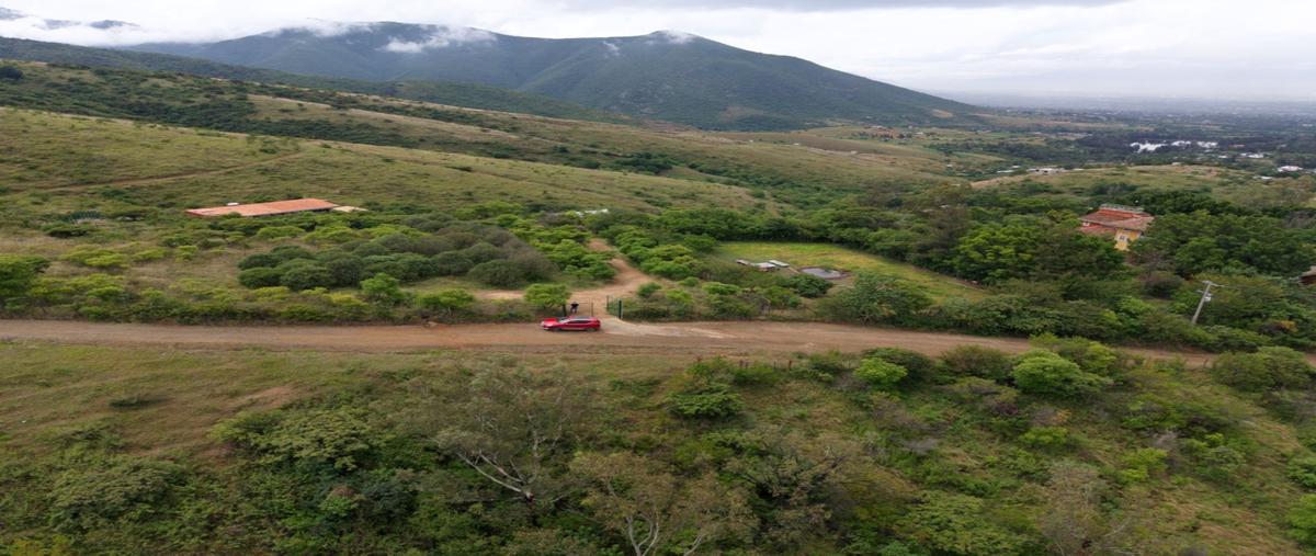 Foto de terreno habitacional en venta en  , san andres huayapam, san andrés huayápam, oaxaca, 30244642 No. 04