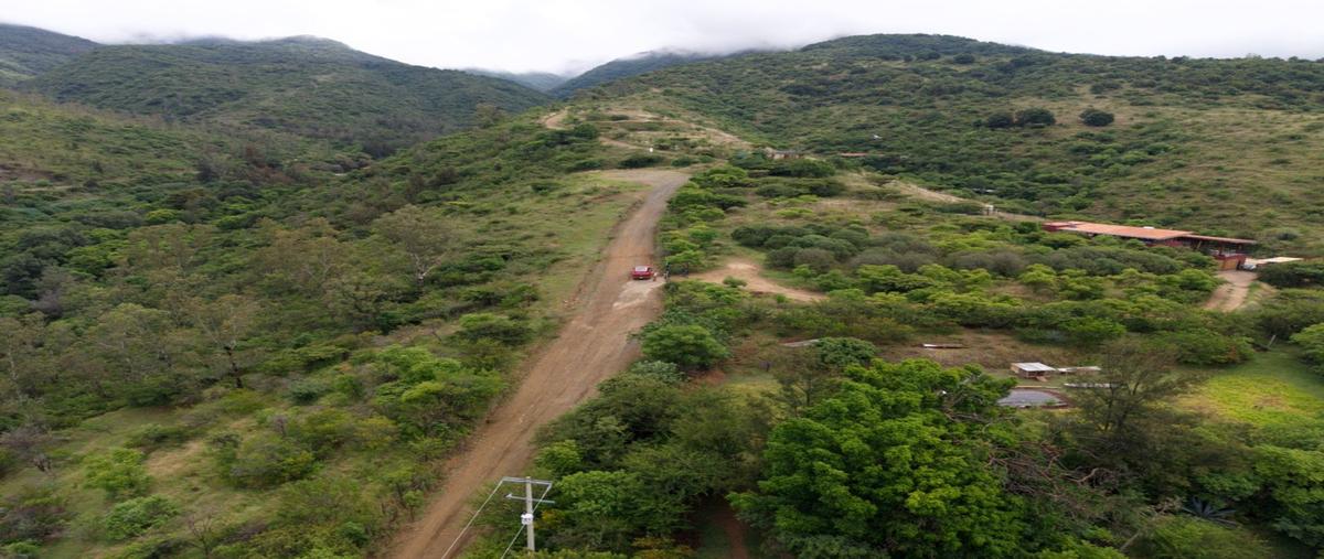Foto de terreno habitacional en venta en  , san andres huayapam, san andrés huayápam, oaxaca, 30244642 No. 05