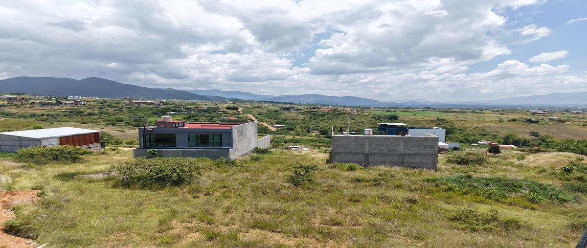 Foto de terreno habitacional en venta en  , san andres huayapam, san andrés huayápam, oaxaca, 30331206 No. 04