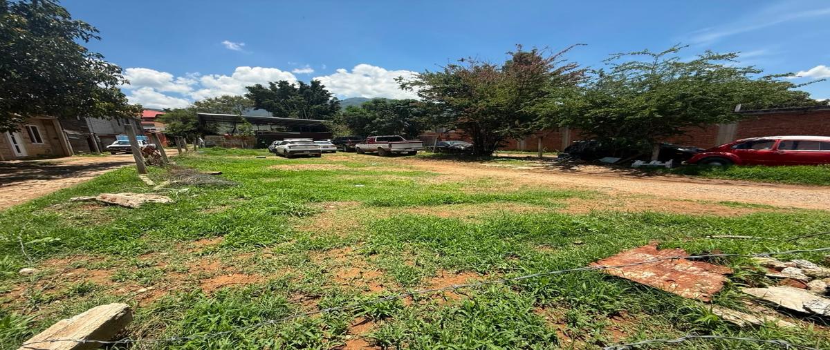 Foto de terreno habitacional en venta en  , san andres huayapam, san andrés huayápam, oaxaca, 0 No. 03