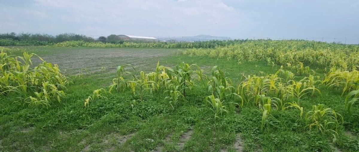 Foto de terreno habitacional en venta en  , san andrés jaltenco, jaltenco, méxico, 0 No. 05