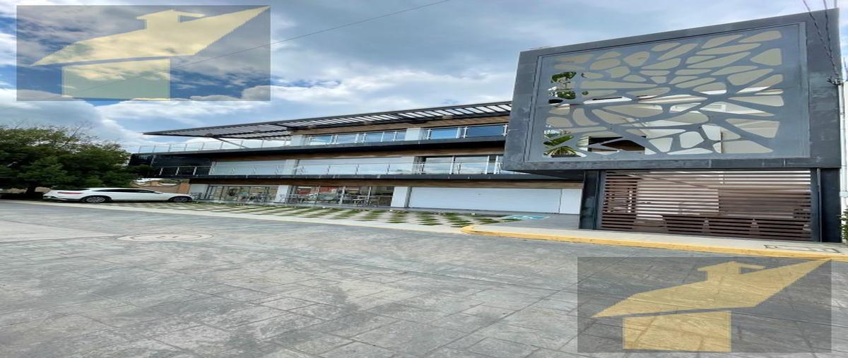 Foto de local en renta en  , san andrés ocotlán, calimaya, méxico, 30289500 No. 03