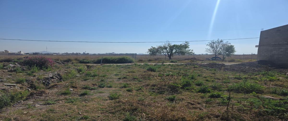 Foto de terreno habitacional en venta en  , san andrés ocotlán, calimaya, méxico, 0 No. 04