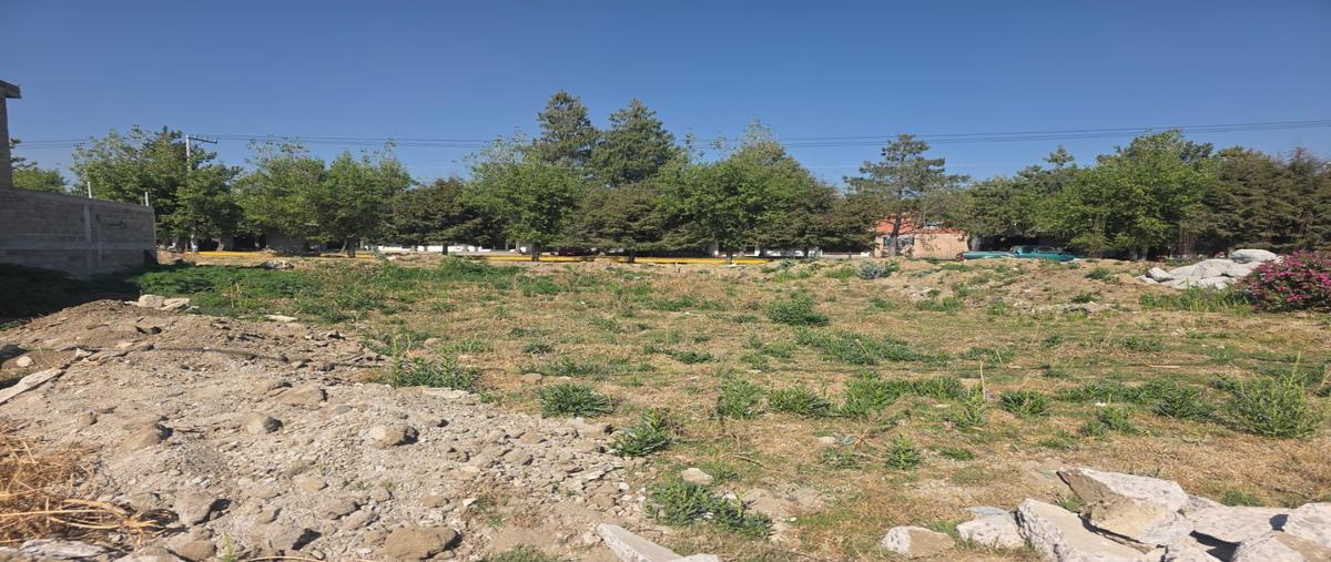 Foto de terreno habitacional en venta en  , san andrés ocotlán, calimaya, méxico, 0 No. 05