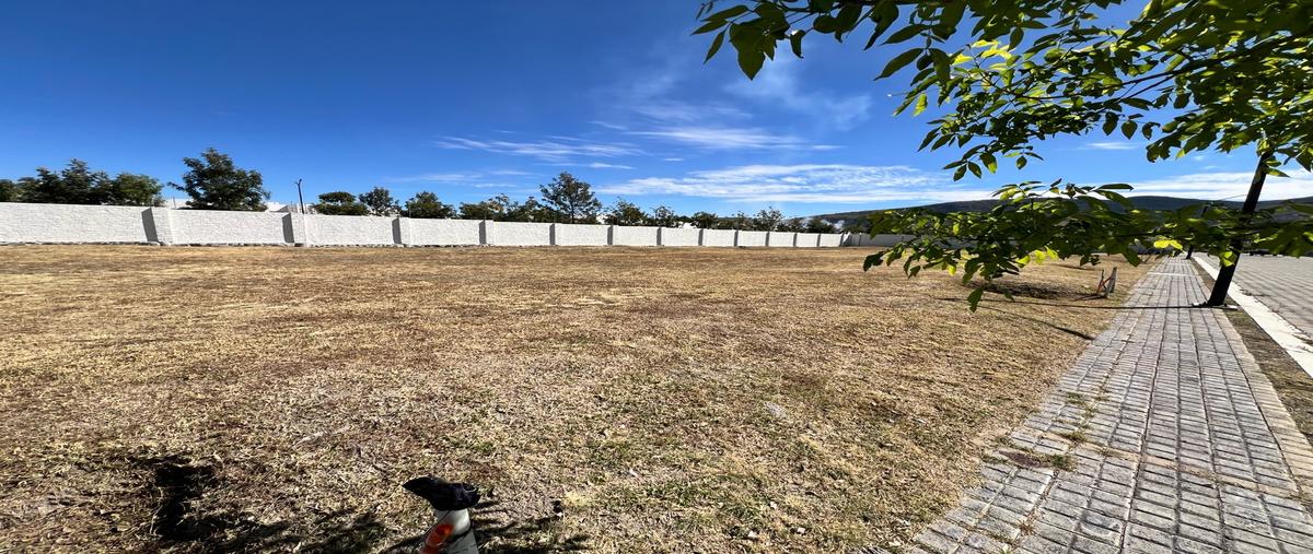 Foto de terreno habitacional en venta en  , san andrés, san andrés cholula, puebla, 0 No. 03