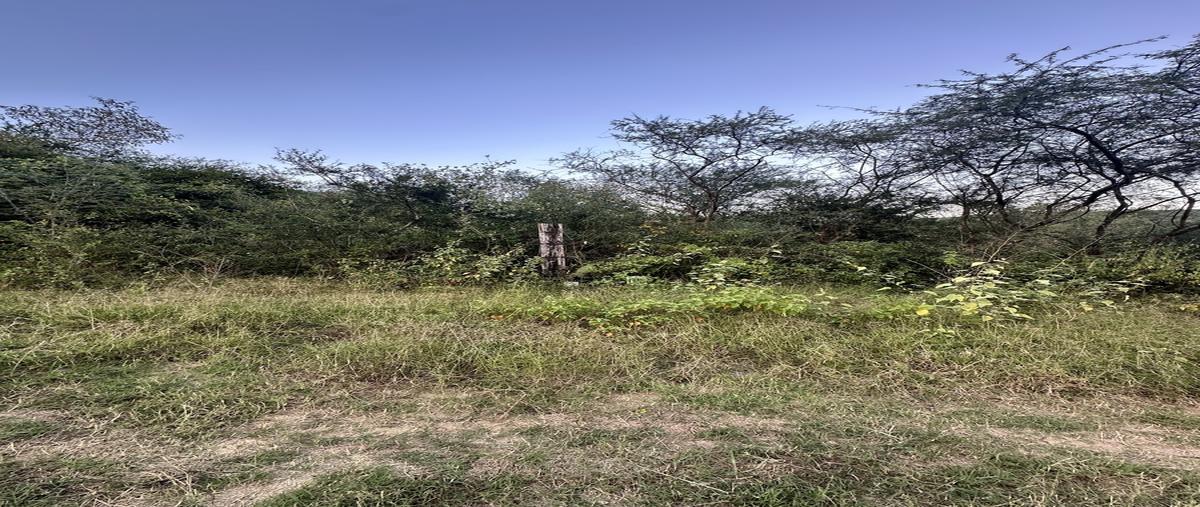 Foto de terreno habitacional en venta en san andres , san andres, santiago, nuevo león, 30596424 No. 05