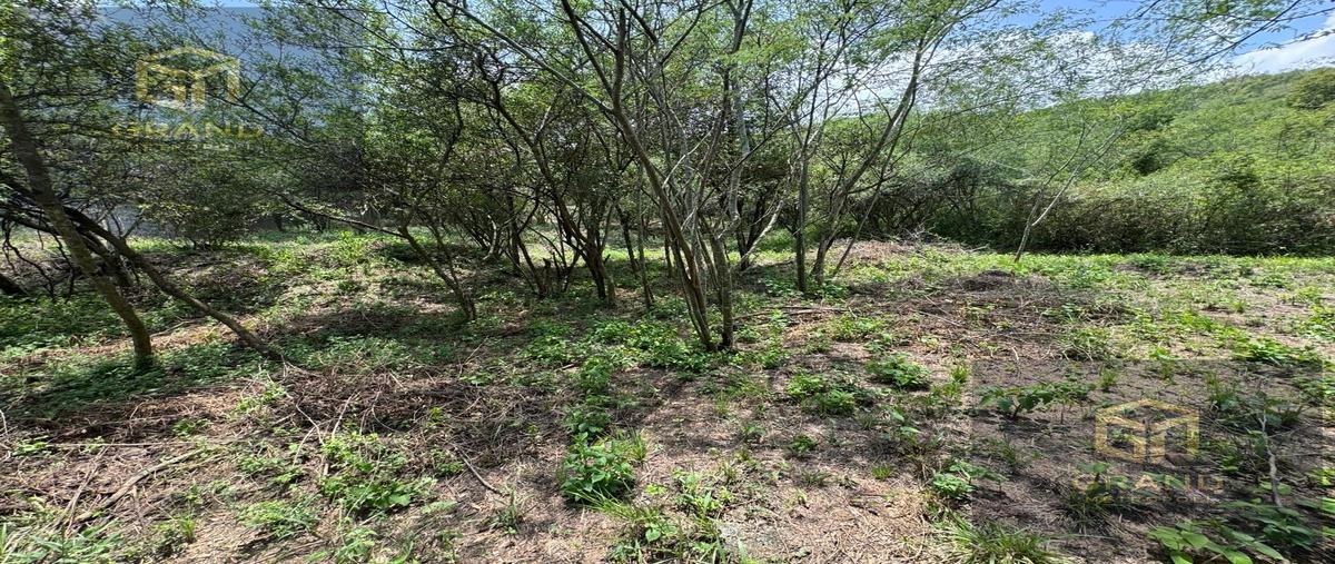 Foto de terreno habitacional en venta en  , san andres, santiago, nuevo león, 0 No. 03