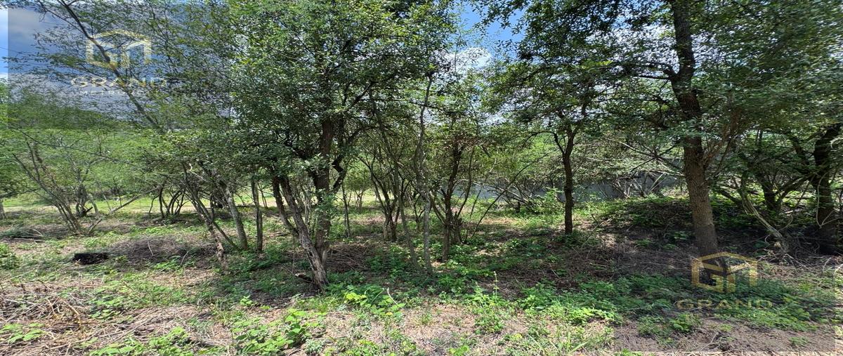 Foto de terreno habitacional en venta en  , san andres, santiago, nuevo león, 0 No. 04