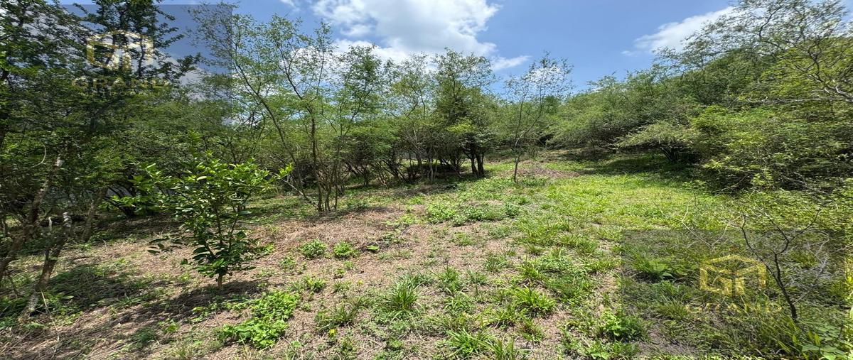 Foto de terreno habitacional en venta en  , san andres, santiago, nuevo león, 0 No. 05