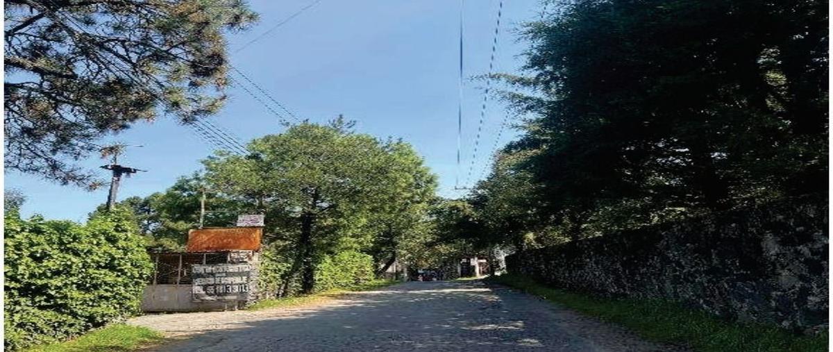 Foto de casa en venta en san andres totoltepec , héroes de 1910, tlalpan, df / cdmx, 29495667 No. 05