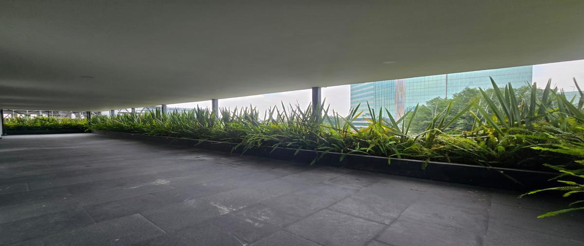 Foto de oficina en renta en  , san angel, álvaro obregón, df / cdmx, 0 No. 05