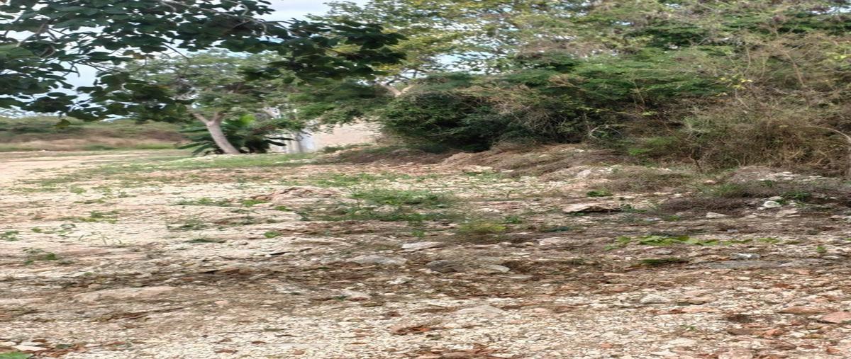 Foto de terreno habitacional en venta en san angel whi313305, san ángel, mérida, yucatán, 0 No. 05