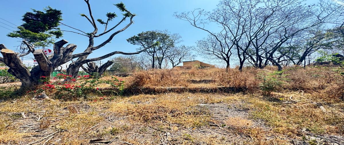 Foto de terreno habitacional en venta en  , san antón, cuernavaca, morelos, 0 No. 05