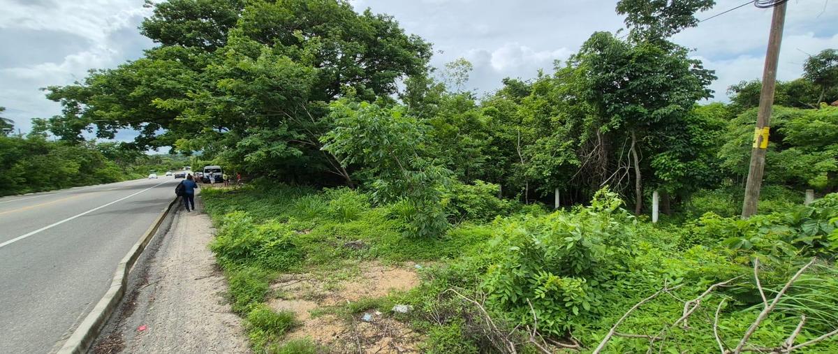 Foto de terreno habitacional en venta en  , san antonio, acapulco de juárez, guerrero, 0 No. 03