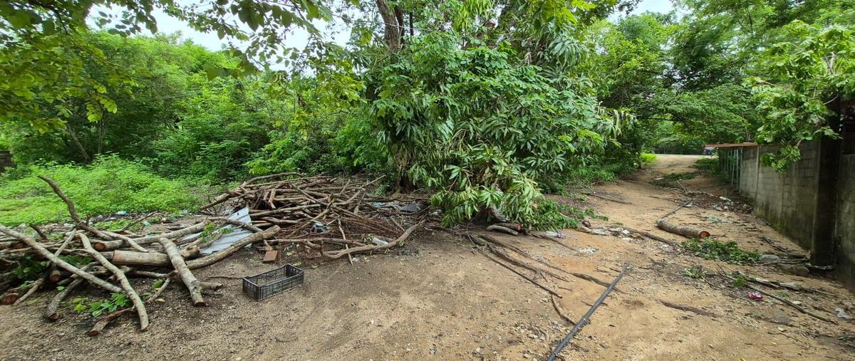 Foto de terreno habitacional en venta en  , san antonio, acapulco de juárez, guerrero, 0 No. 04