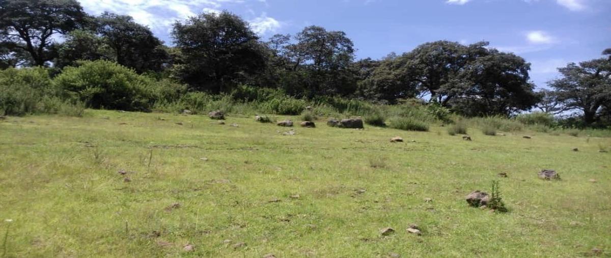 Foto de terreno habitacional en , san antonio, aculco, méxico, 28287032 foto 03 Foto de terreno habitacional en venta en , san antonio, aculco, méxico, 28287032 No. 03