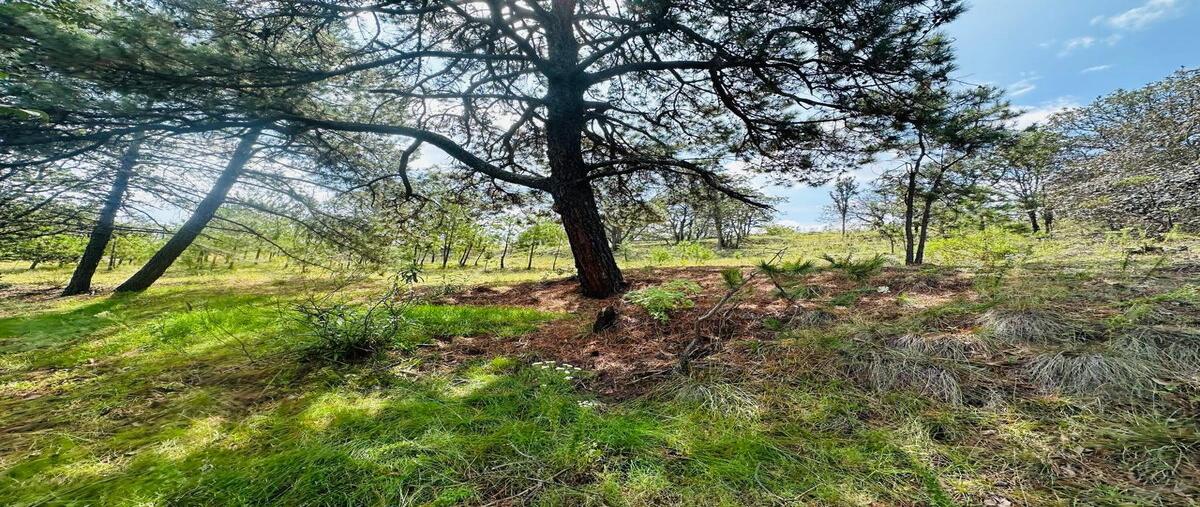 Foto de terreno habitacional en , san antonio, aculco, méxico, 0 foto 03 Foto de terreno habitacional en venta en , san antonio, aculco, méxico, 0 No. 03