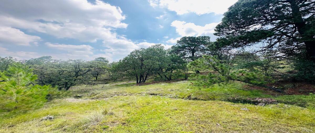 Foto de terreno habitacional en , san antonio, aculco, méxico, 0 foto 04 Foto de terreno habitacional en venta en , san antonio, aculco, méxico, 0 No. 04