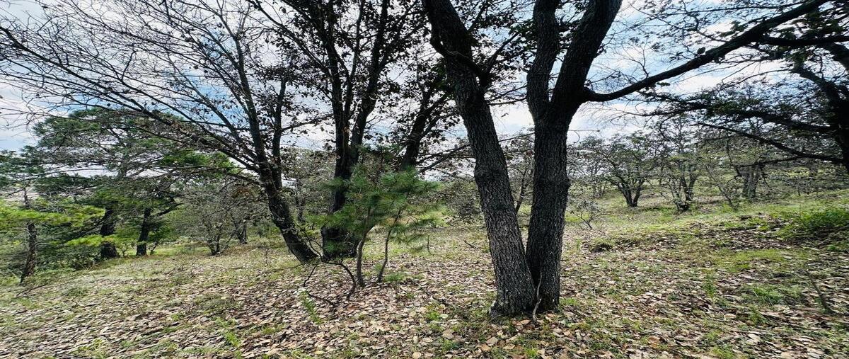 Foto de terreno habitacional en , san antonio, aculco, méxico, 0 foto 05 Foto de terreno habitacional en venta en , san antonio, aculco, méxico, 0 No. 05