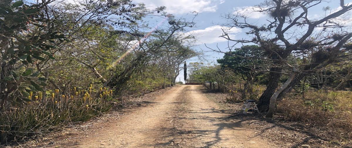 Foto de terreno habitacional en venta en  , san antonio bombano, berriozábal, chiapas, 14496483 No. 03