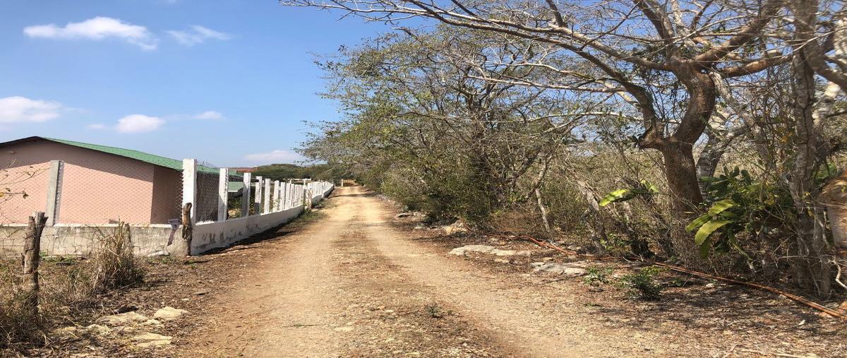 Foto de terreno habitacional en venta en  , san antonio bombano, berriozábal, chiapas, 14496483 No. 05