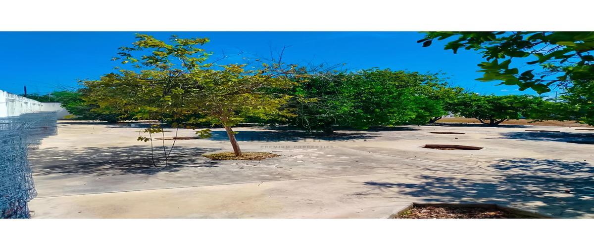 Foto de terreno habitacional en venta en  , san antonio cinta, mérida, yucatán, 0 No. 03