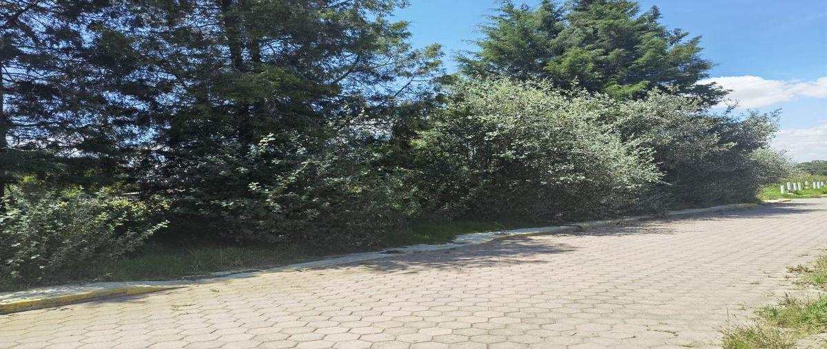 Foto de terreno habitacional en venta en  , san antonio, cuaxomulco, tlaxcala, 27627315 No. 03