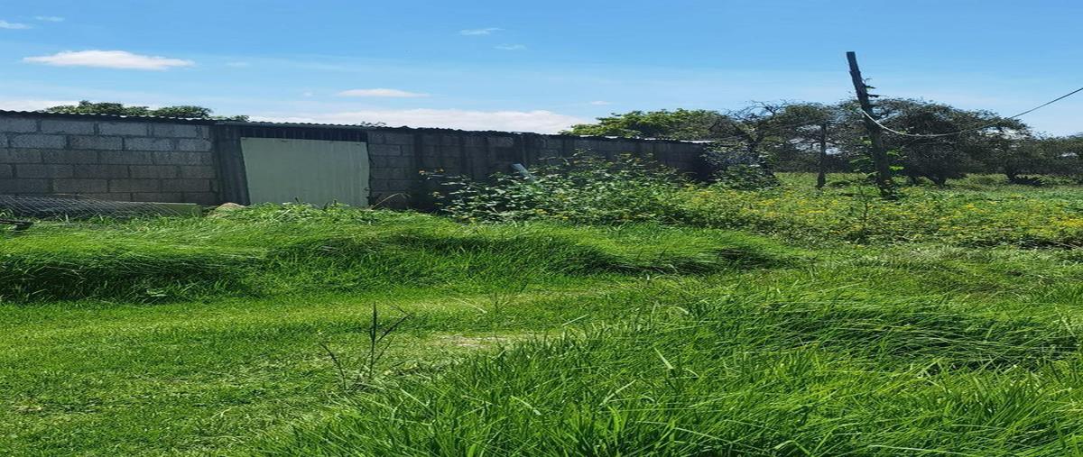 Foto de terreno habitacional en venta en  , san antonio, cuaxomulco, tlaxcala, 27627315 No. 04