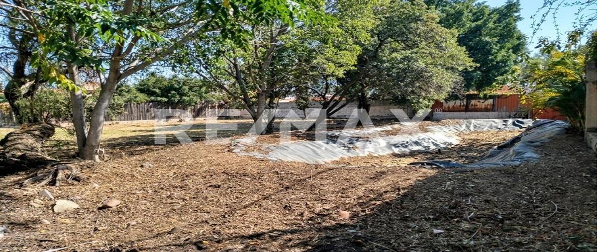 Foto de terreno comercial en san antonio de ayala , bugambilias, irapuato, guanajuato, 0 foto 05 Foto de terreno comercial en venta en san antonio de ayala , bugambilias, irapuato, guanajuato, 0 No. 05