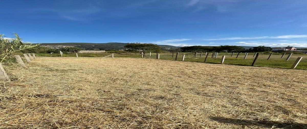 Foto de terreno habitacional en venta en  , san antonio de la cal centro, san antonio de la cal, oaxaca, 0 No. 04