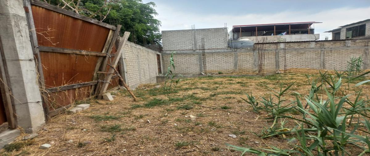 Foto de terreno habitacional en venta en  , san antonio de la cal centro, san antonio de la cal, oaxaca, 0 No. 03