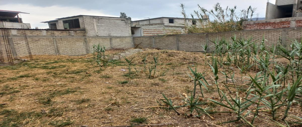 Foto de terreno habitacional en venta en  , san antonio de la cal centro, san antonio de la cal, oaxaca, 0 No. 05