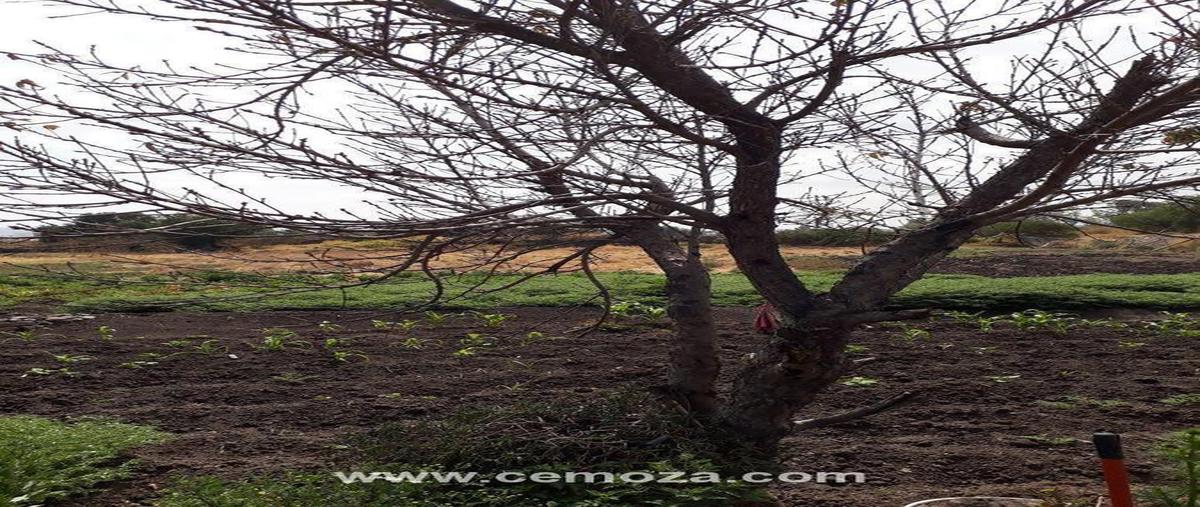 Foto de terreno comercial en , san antonio de la punta, querétaro, querétaro, 0 foto 02 Foto de terreno comercial en venta en , san antonio de la punta, querétaro, querétaro, 0 No. 02