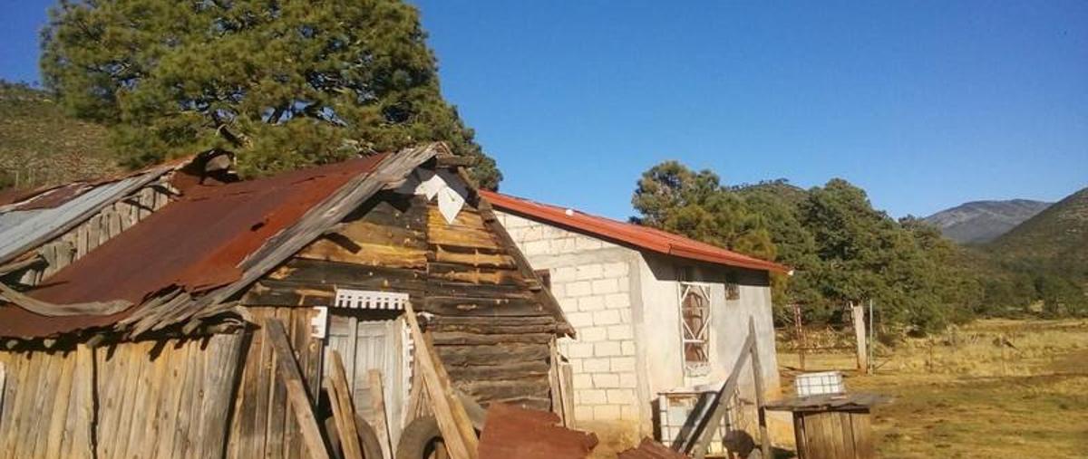 Foto de terreno comercial en venta en  , san antonio de las alazanas, arteaga, coahuila de zaragoza, 11987652 No. 03